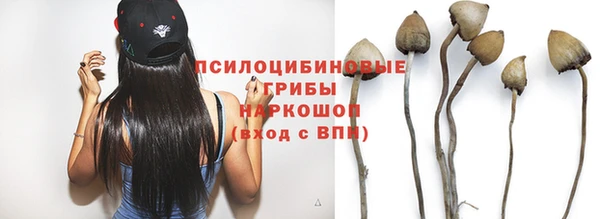 spice Аркадак