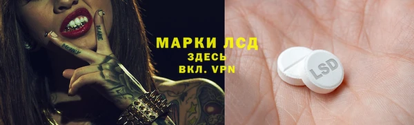 spice Аркадак