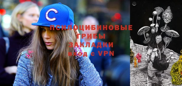 spice Аркадак