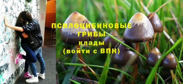 первитин Арсеньев