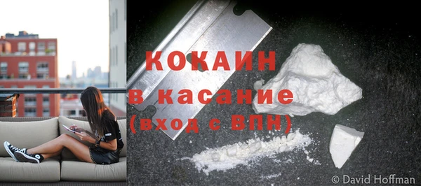 spice Аркадак