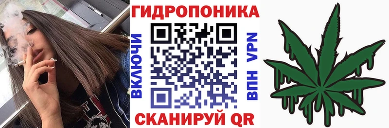 Бошки Шишки марихуана  Татарск 